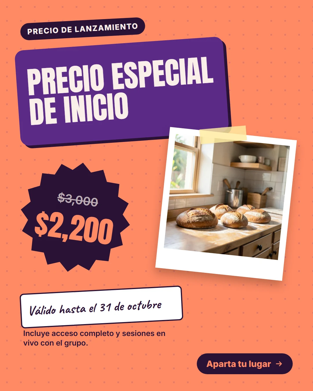 Página interior 4